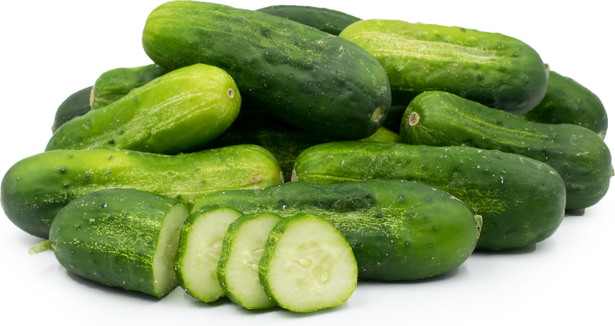 Pickling Cucumbers Information and Facts