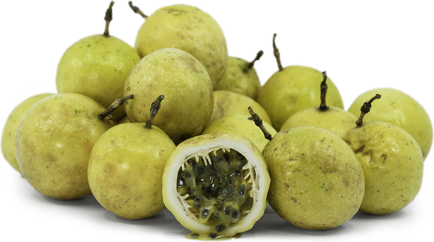Yellow Passionfruit picture