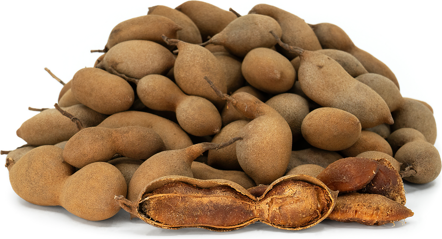 Tamarind Fruit picture