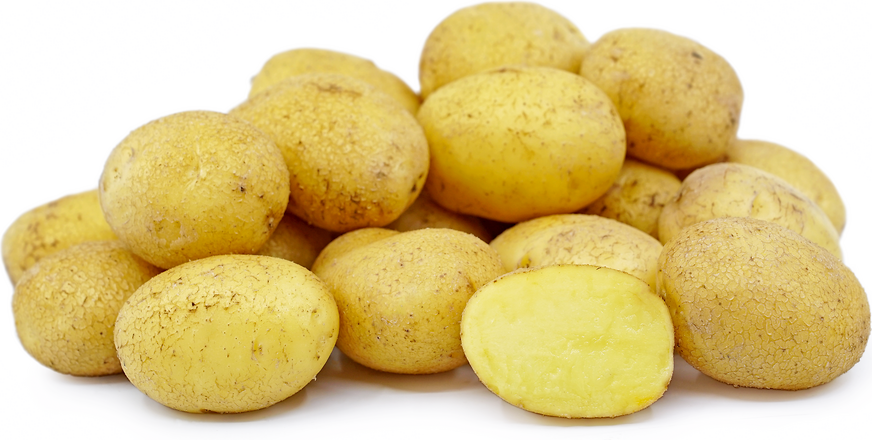 German Butterball Potatoes picture