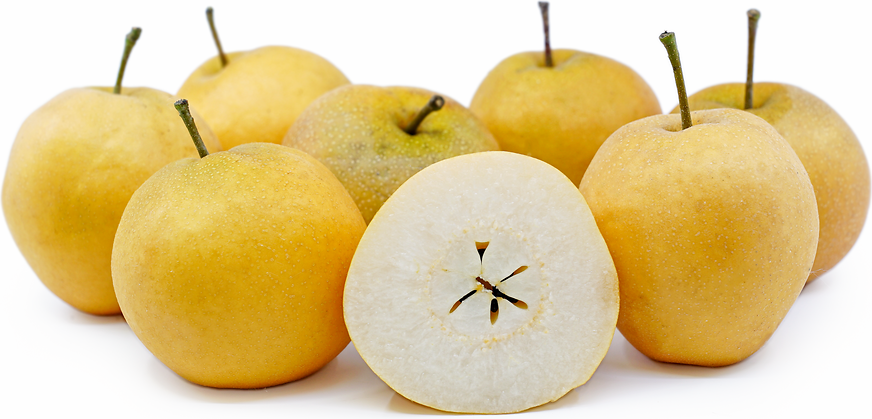 types of asian pears