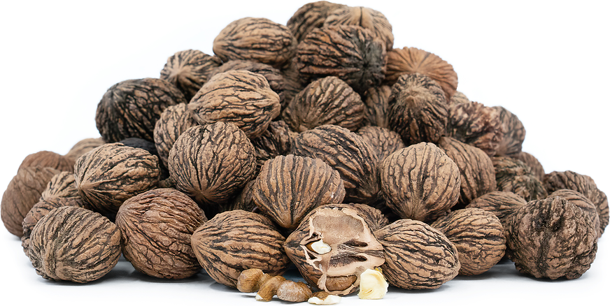 Foraged Black Walnuts Information and Facts