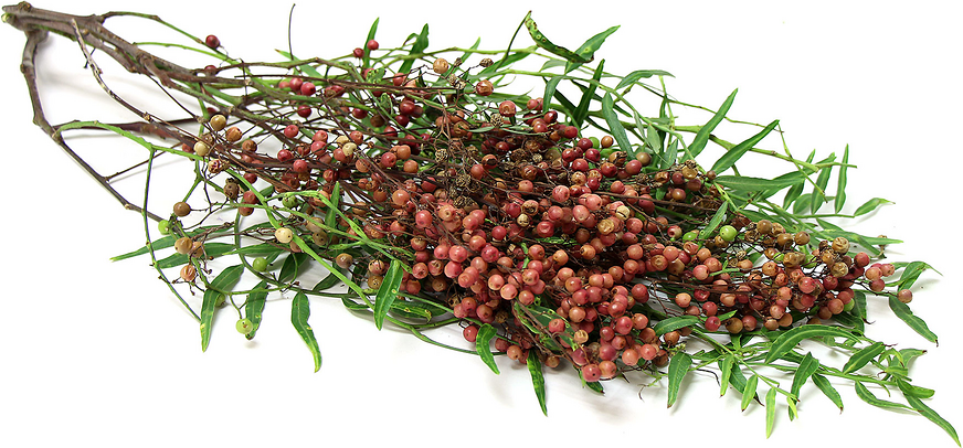 Pink Peppercorns picture