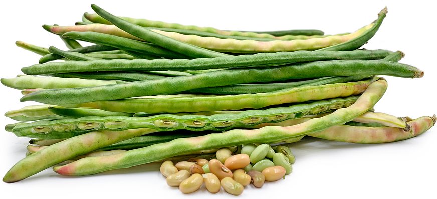 Crowder Shelling Beans picture