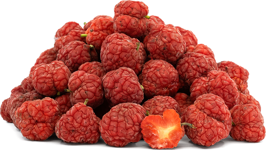 Red Chinese Mulberries Information and Facts