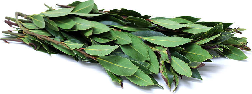 Foraged California Bay Leaves picture