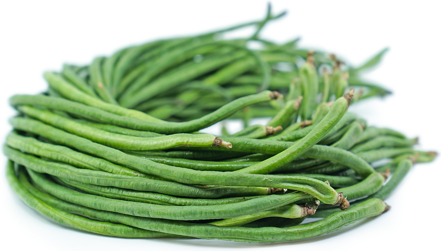 Exploring the Variety of Chinese Beans: A Guide to 5 Essential Types