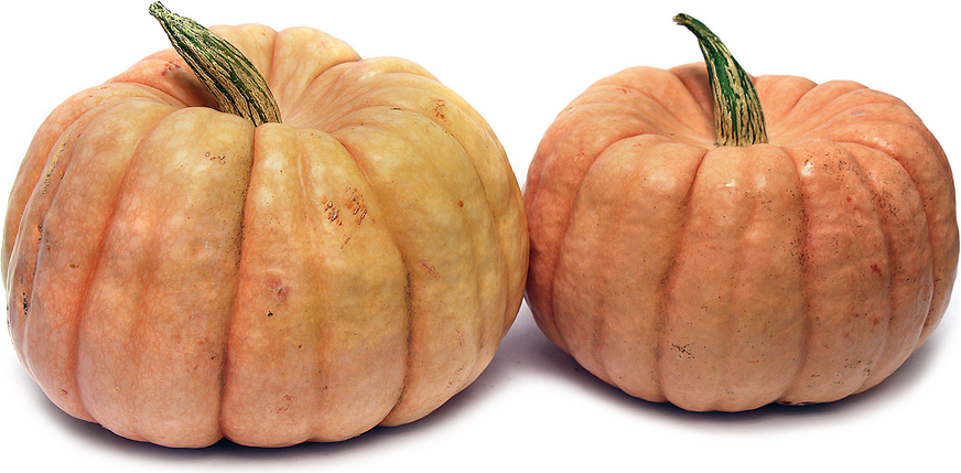 Pink Pumpkins Information and Facts