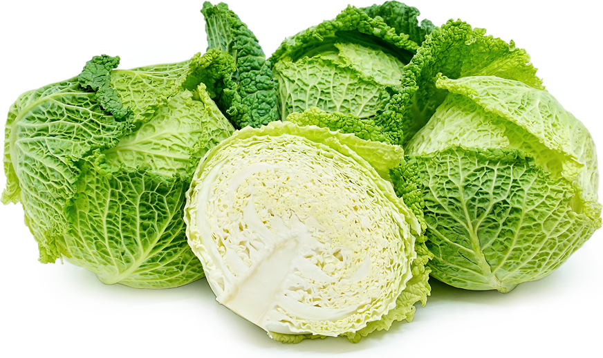 Savoy Cabbage Information, Recipes and Facts