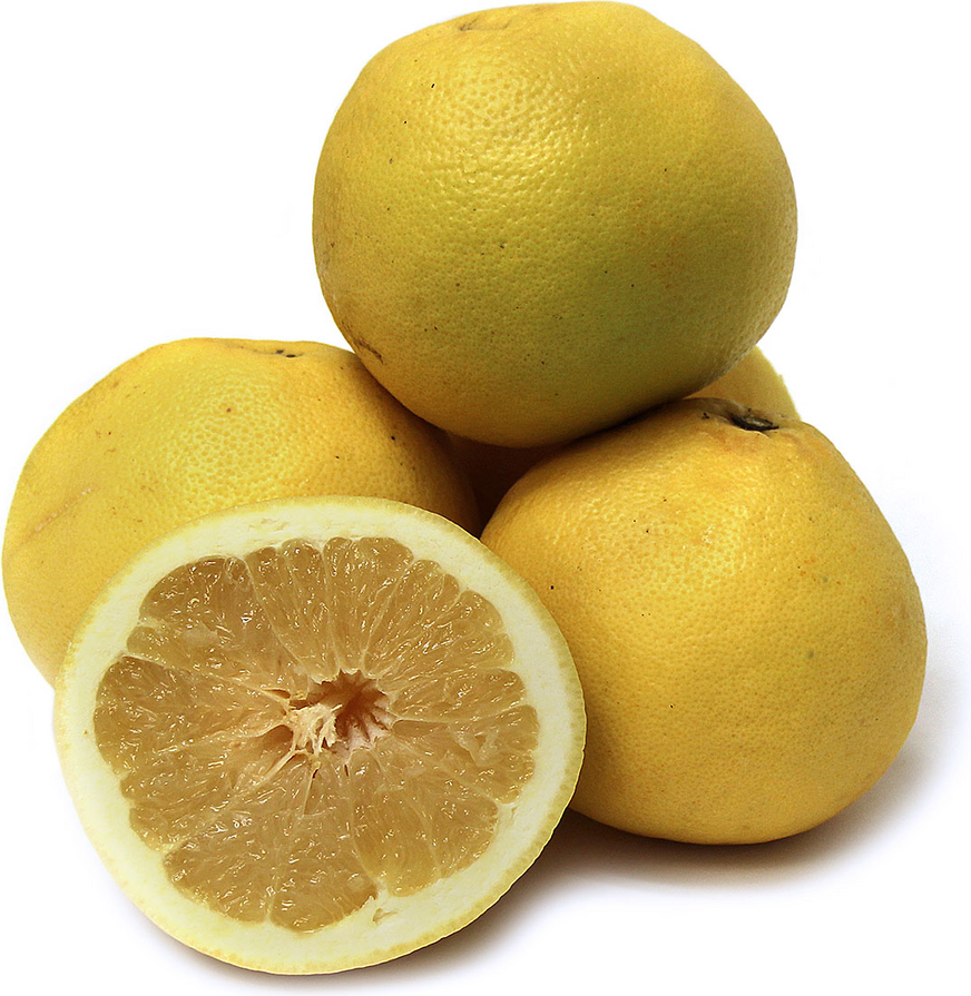 White Grapefruit Information and Facts