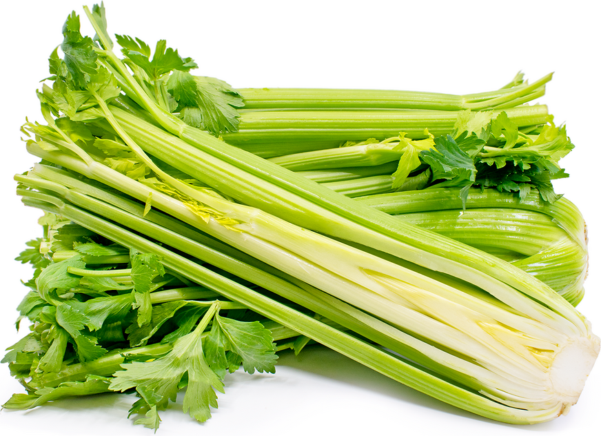 Celery picture