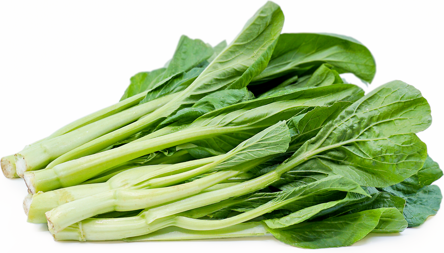 Choi Sum Cabbage Information, Recipes and Facts