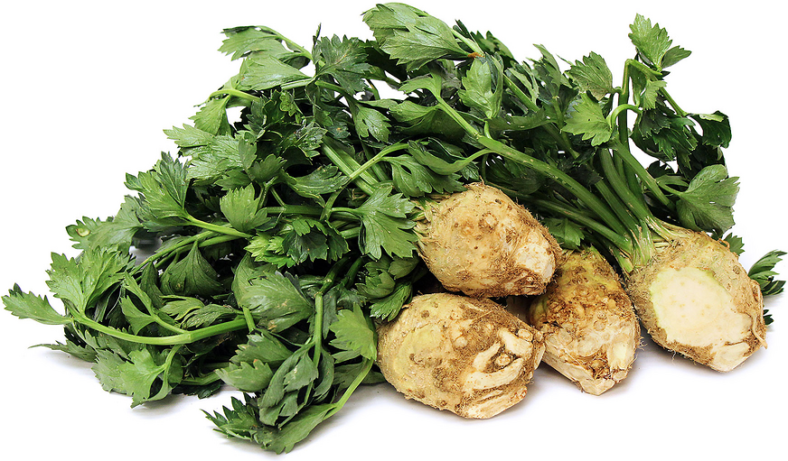 Celery Root picture