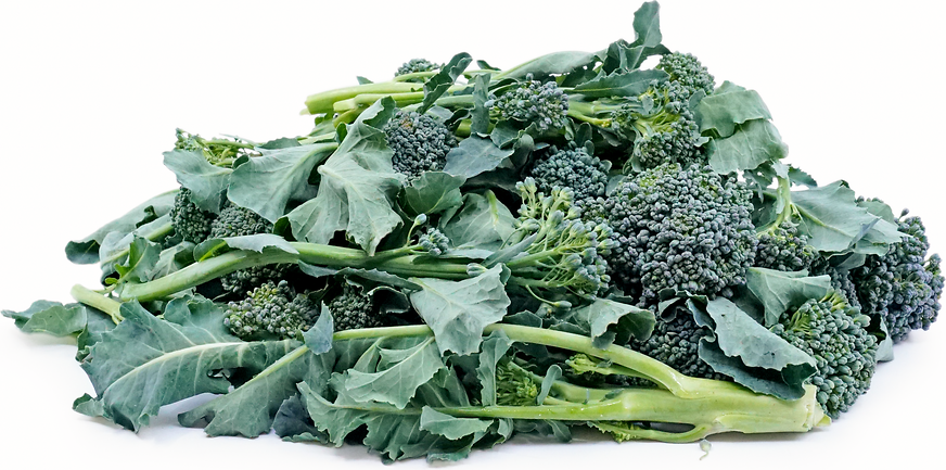 Sprouting Broccoli picture