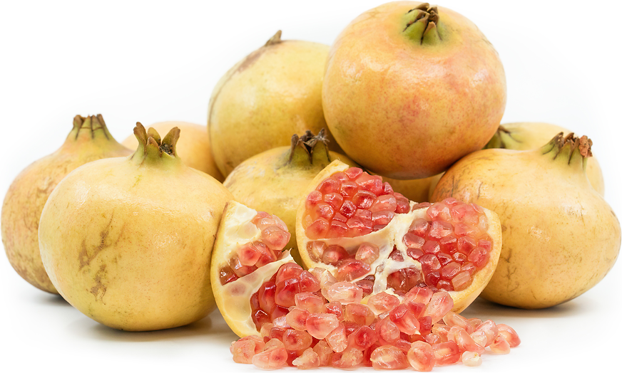 White Pomegranates Information and Facts