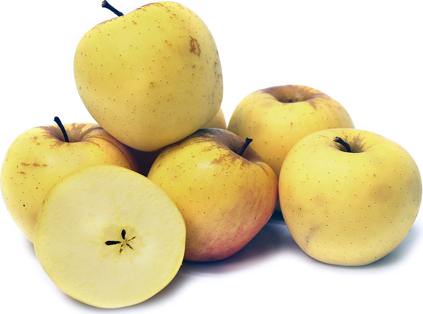 Philo Gold Apples picture