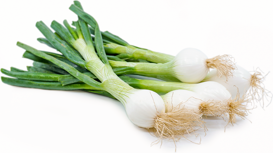 Young Spring Onions picture