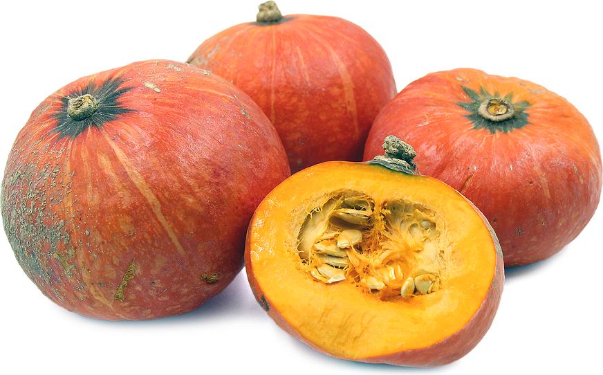 Orange Buttercup Squash Information, Recipes and Facts