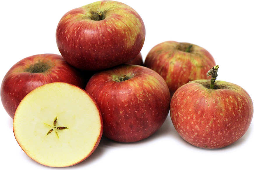 Winesap Apples Information and Facts