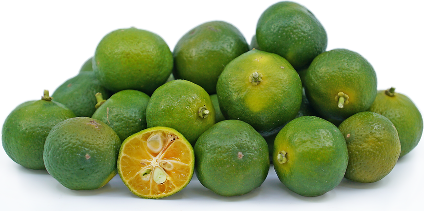 Okinawan Limes picture