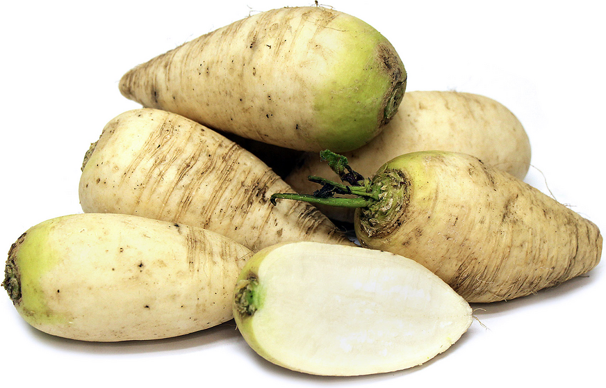 German Beer Radish picture