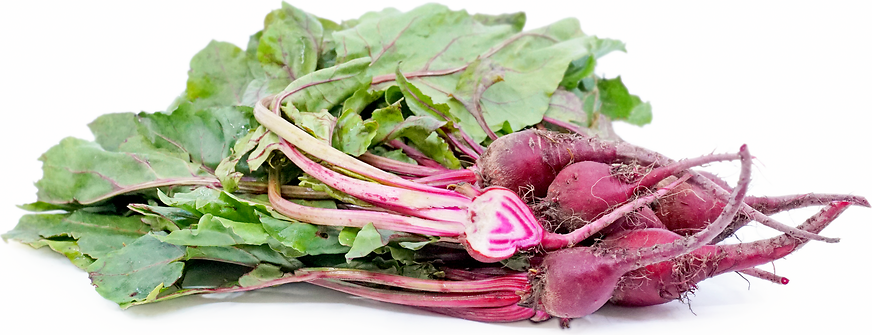 Chiogga Beets picture