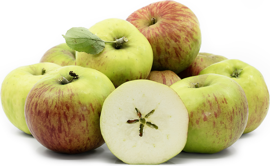 Twenty Ounce Apples Information and Facts