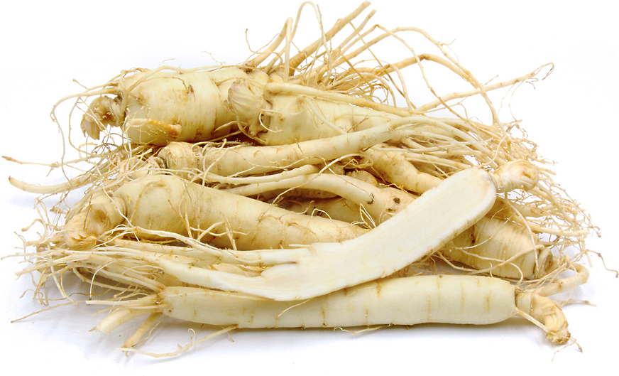 Ginseng Root Information Recipes And Facts