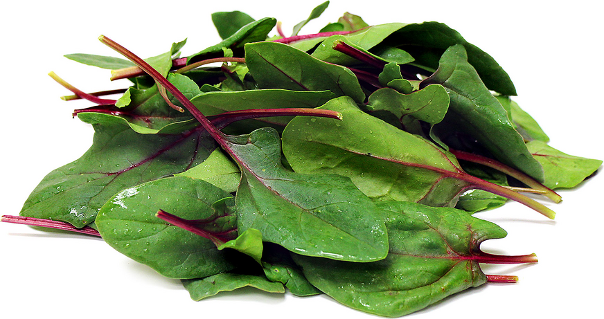 Bordeaux Spinach picture