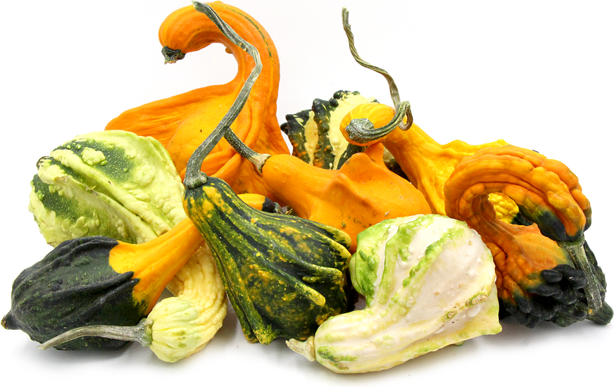 Ornamental Gourds picture