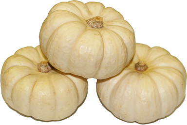 Mini White Pumpkin picture