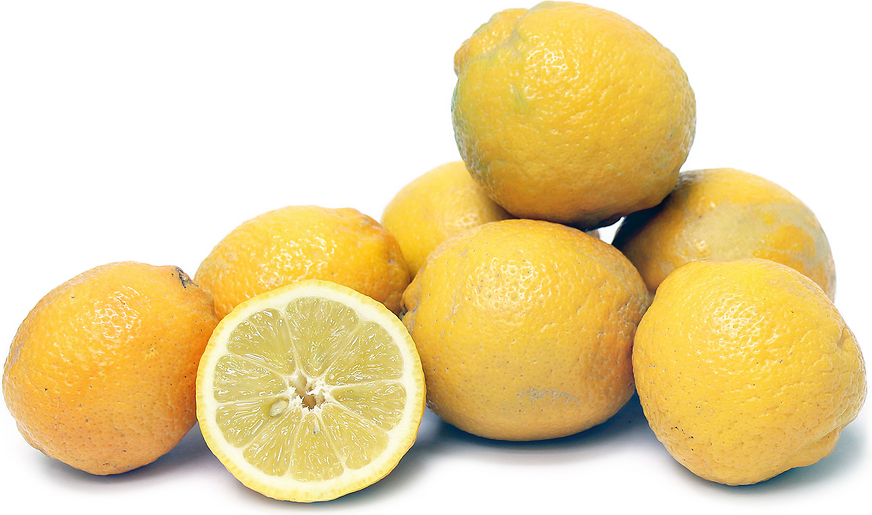 Perrine Lemons picture