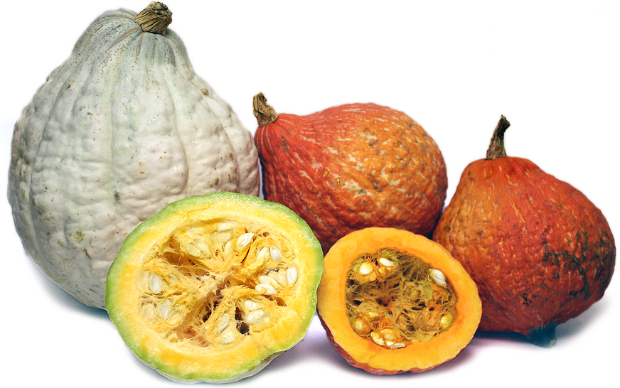 Hubbard Squash picture