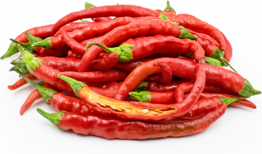 Red Cayenne Chile Peppers picture